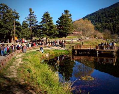 Bolu Gölcük Gölü Tabiat Parkı